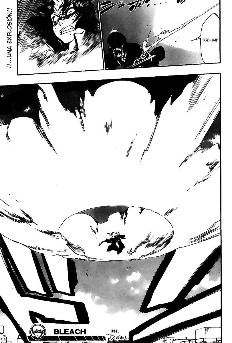 Capitulo 334 page 19
