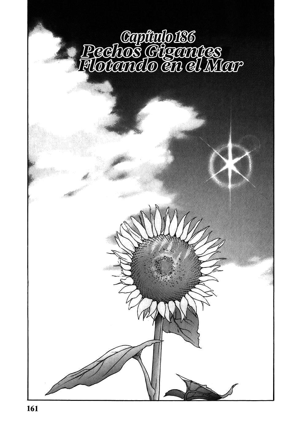 Capitulo 186 page 3