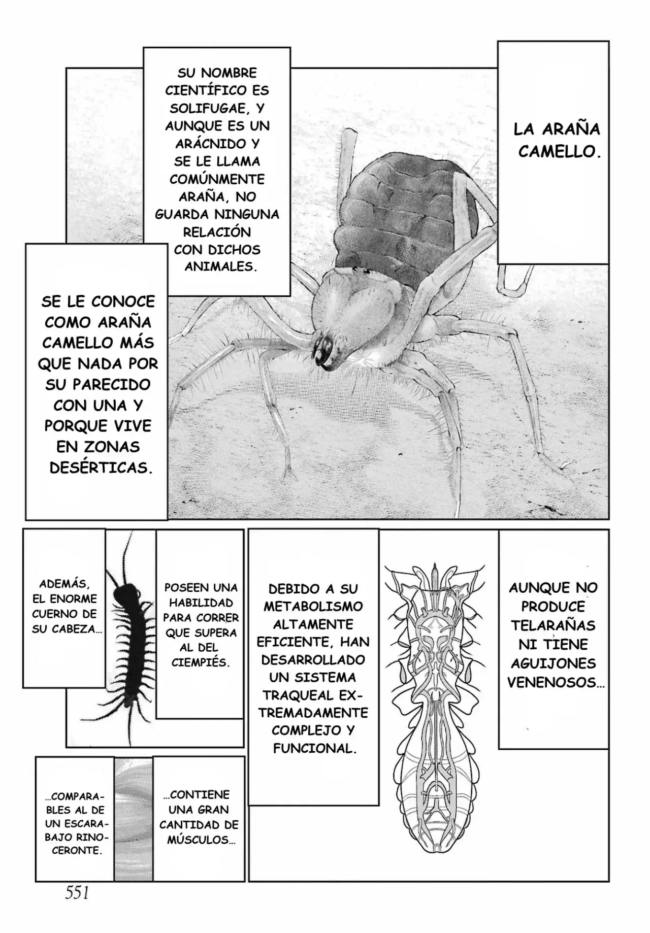 Capitulo 31 page 5
