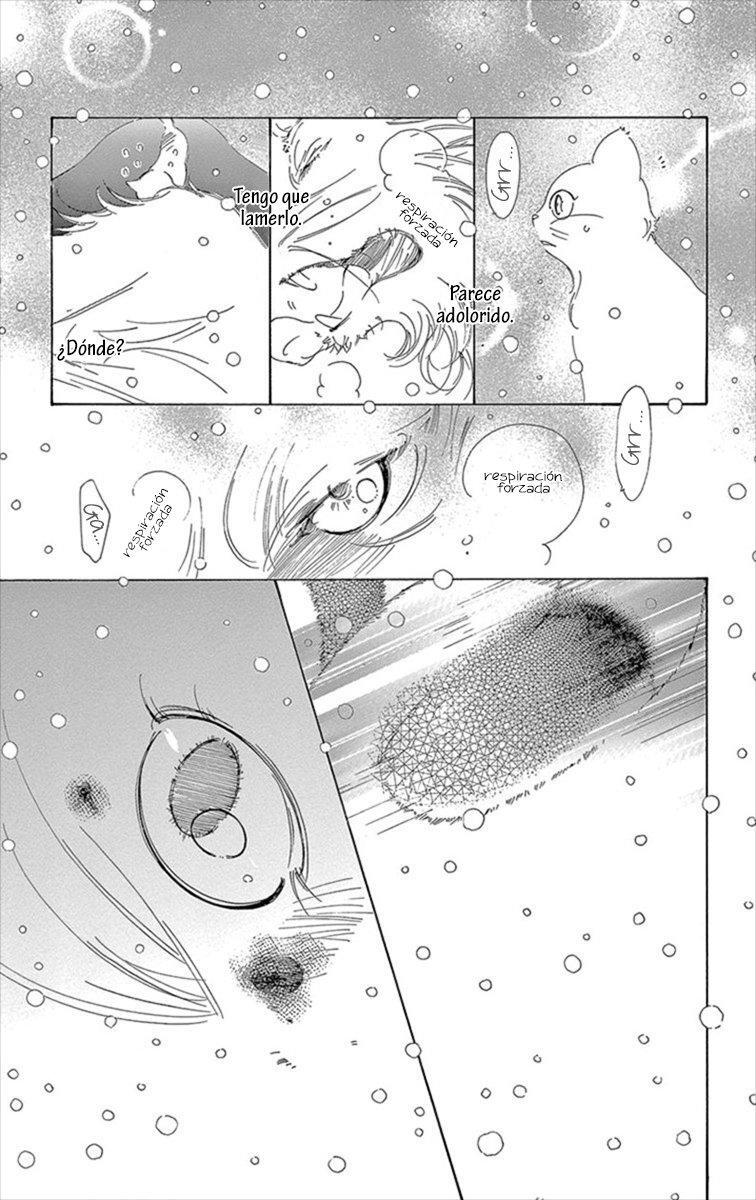 Capitulo 43 page 17