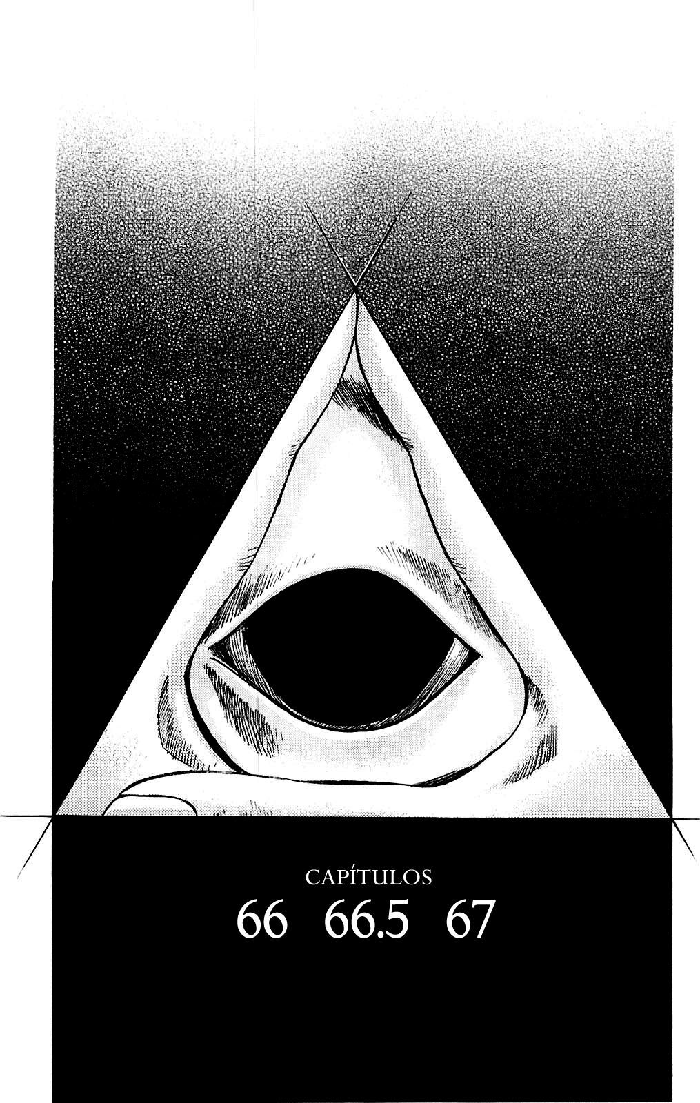 Capitulo 66 page 3