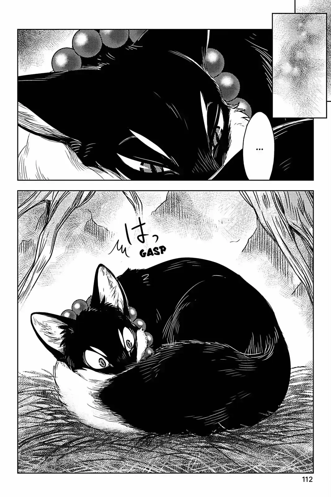 Capitulo 5 page 6