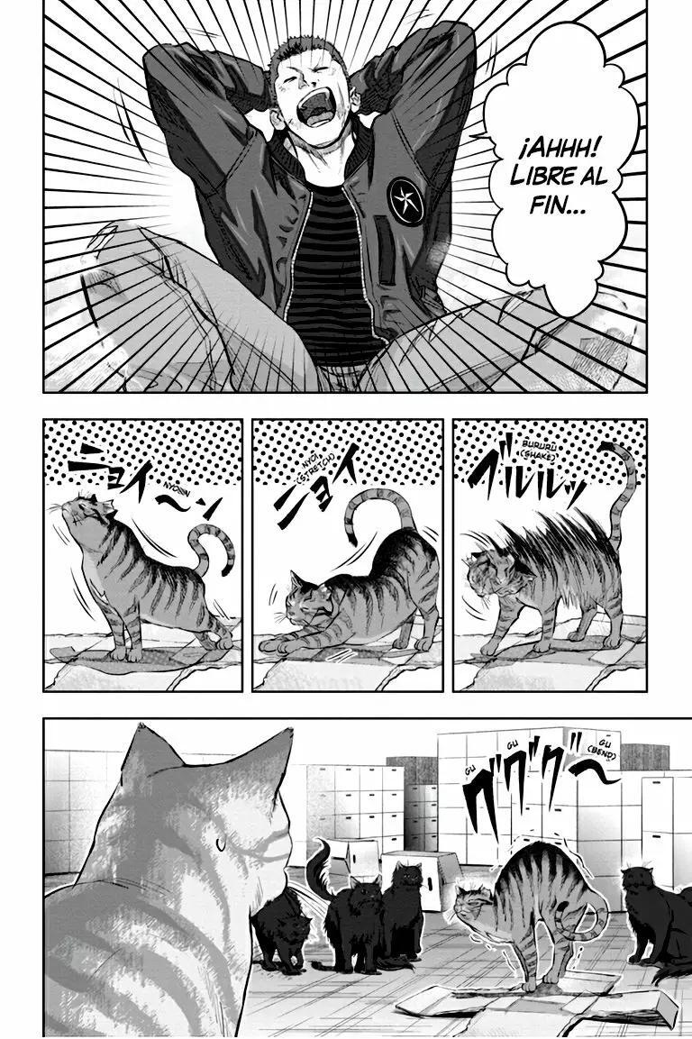 Capitulo 3 page 25