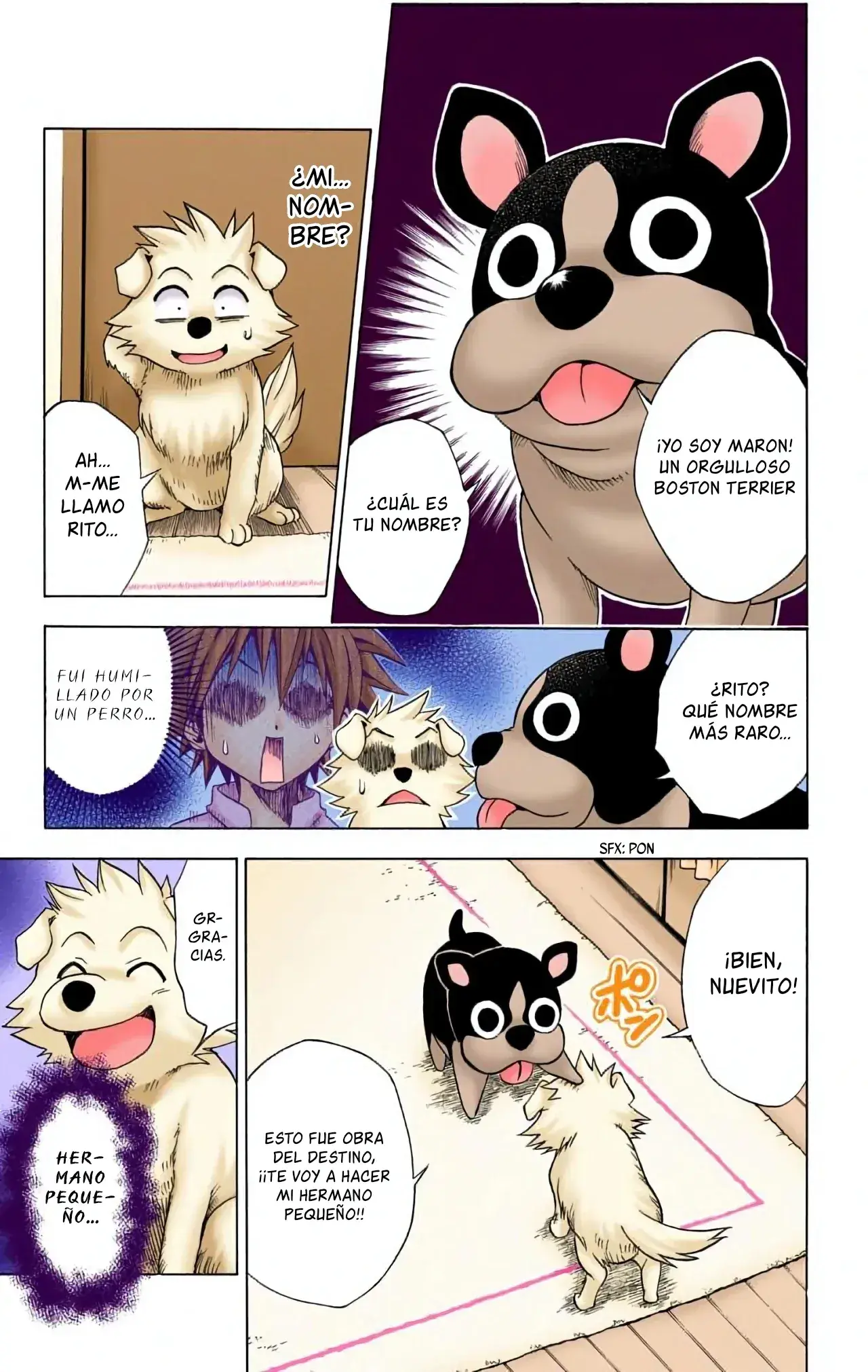 Capitulo 44 page 9