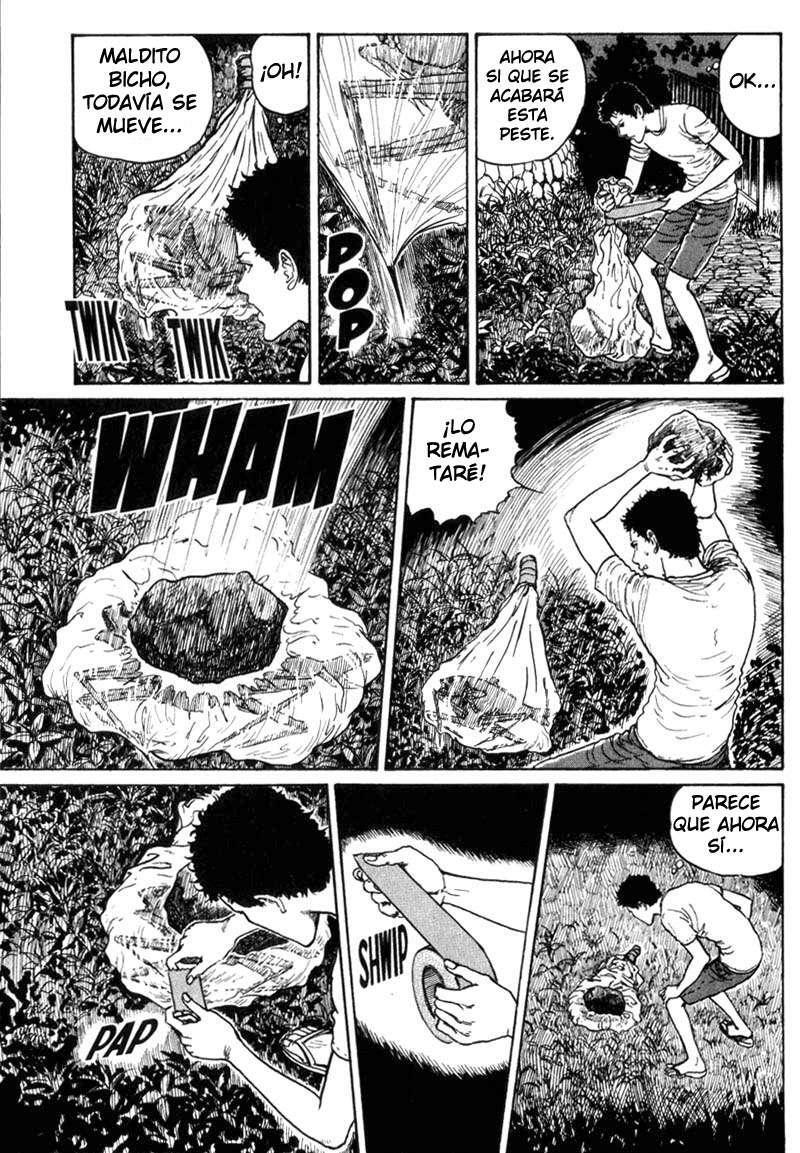 Capitulo 2 page 5