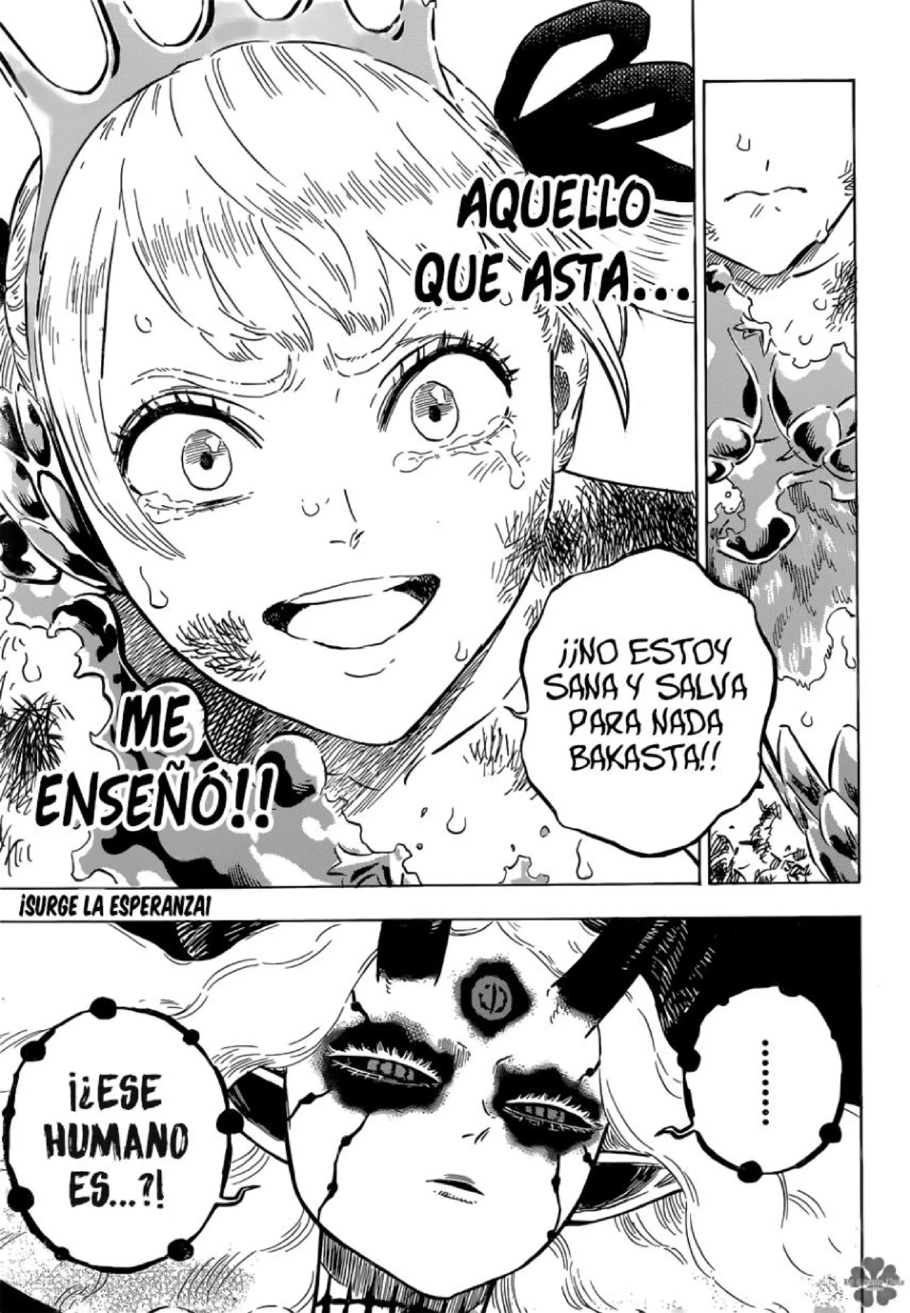 Capitulo 300 page 13