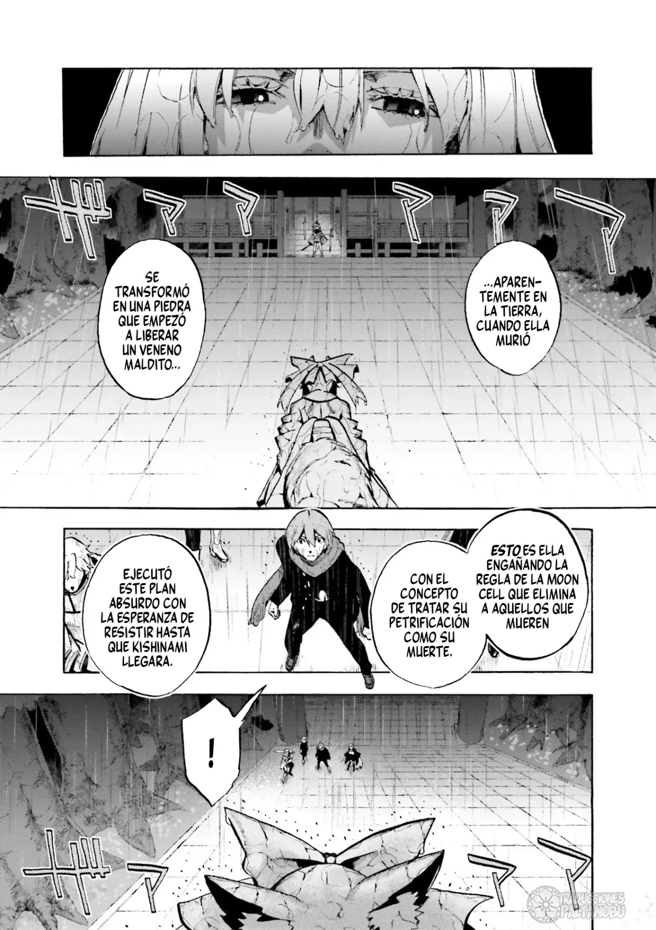 Capitulo 69 page 13
