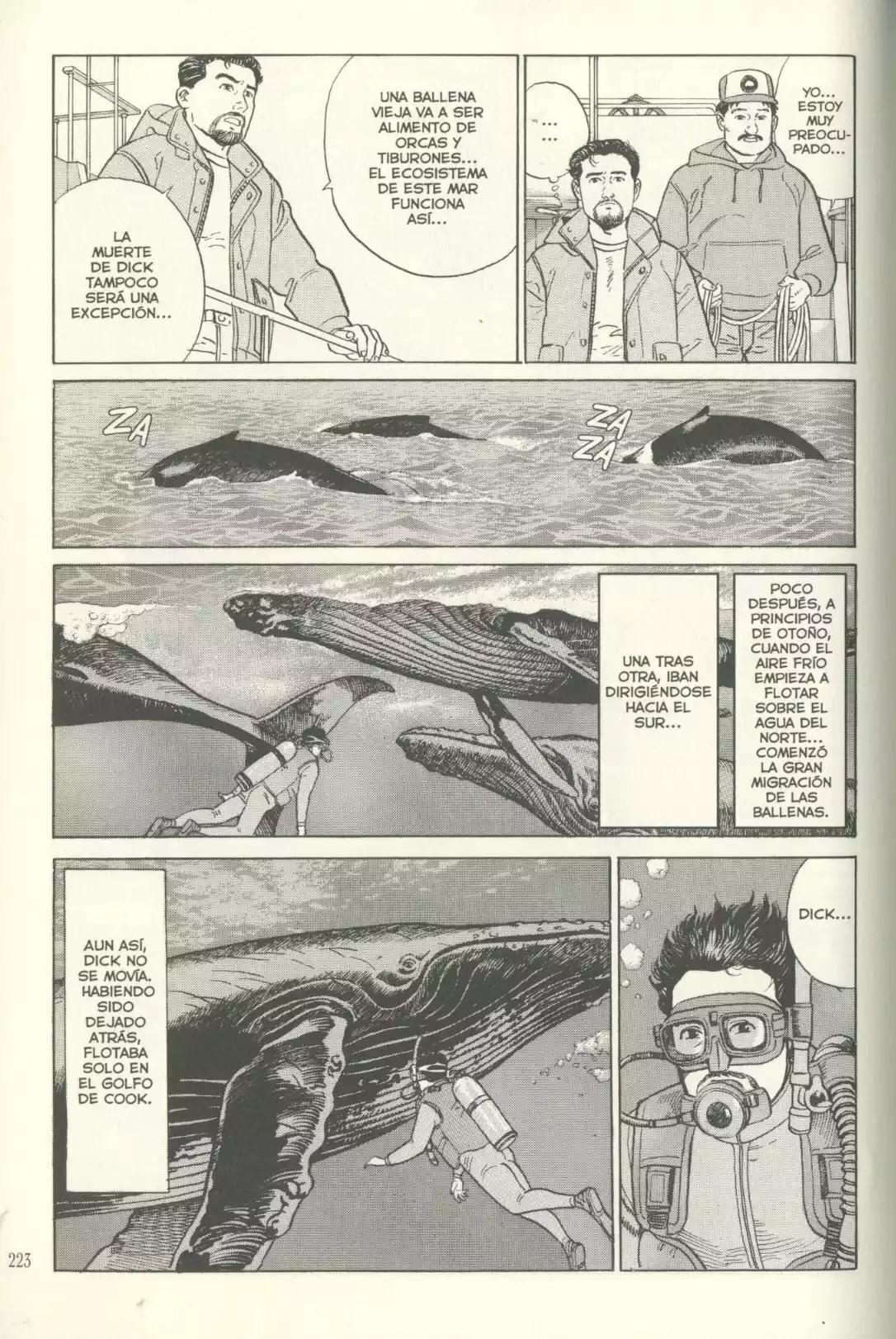 Capitulo 6 page 16