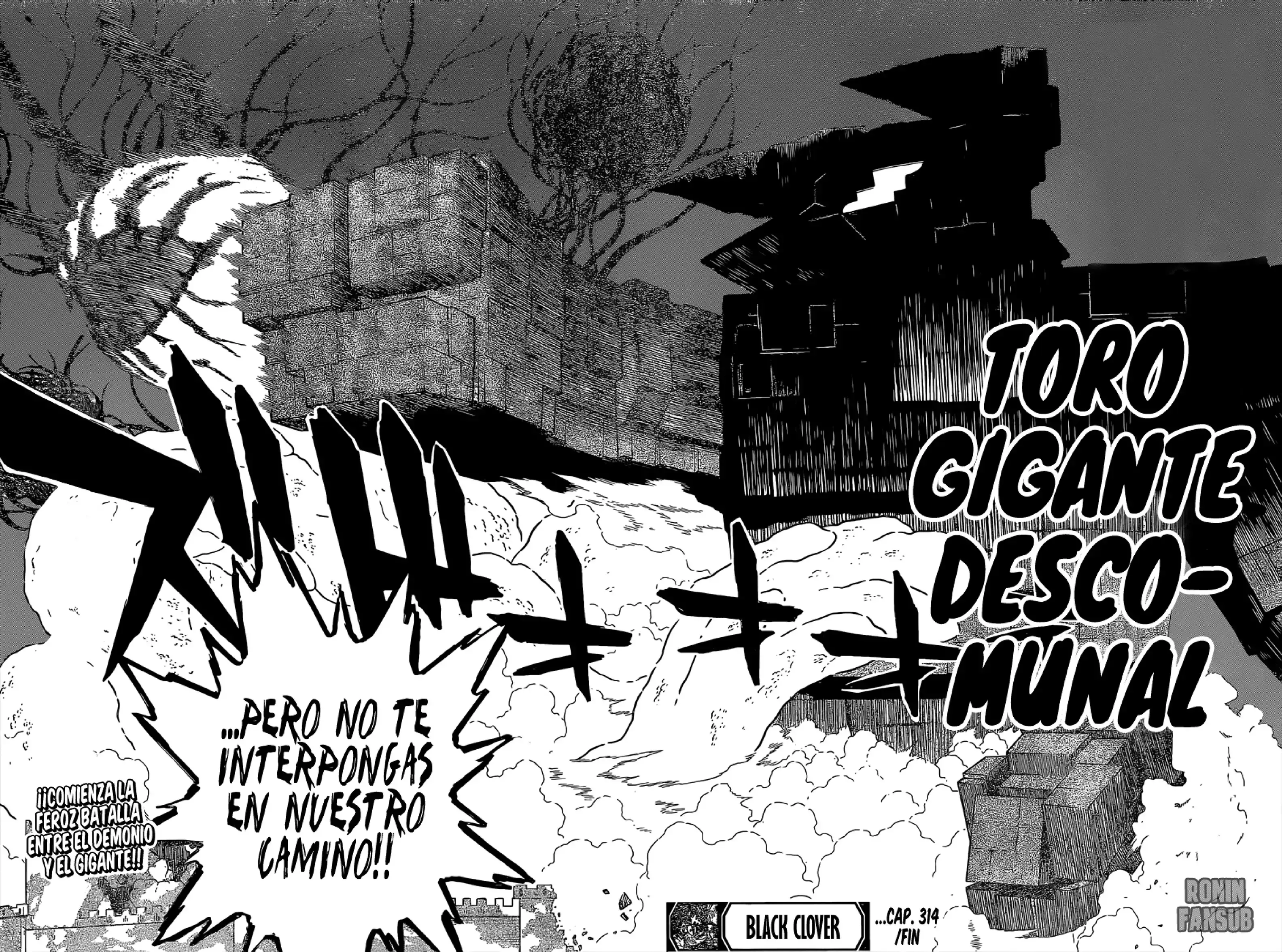 Capitulo 314 page 11