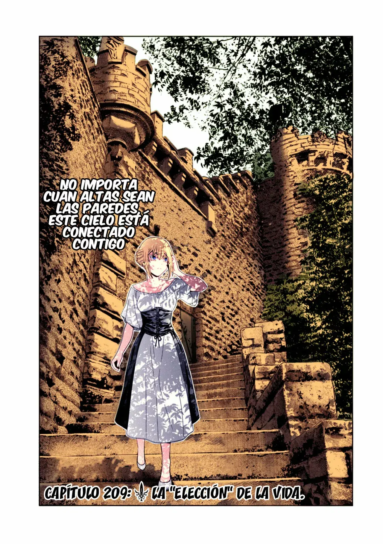 Capitulo 209 page 2