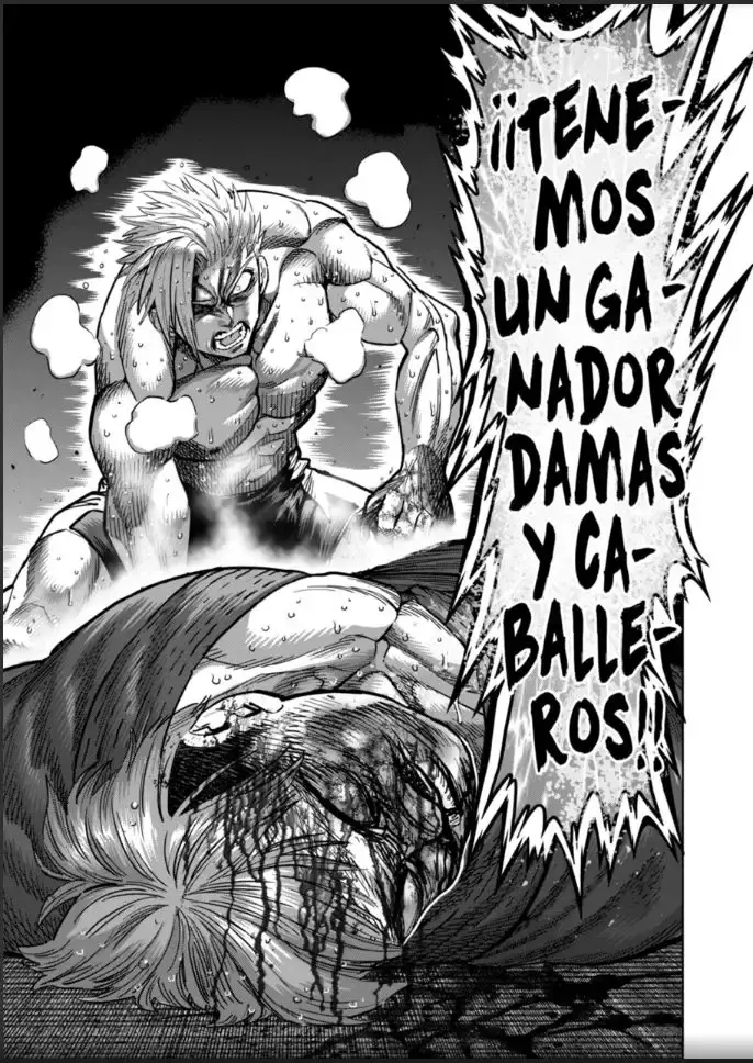 Capitulo 177 page 17