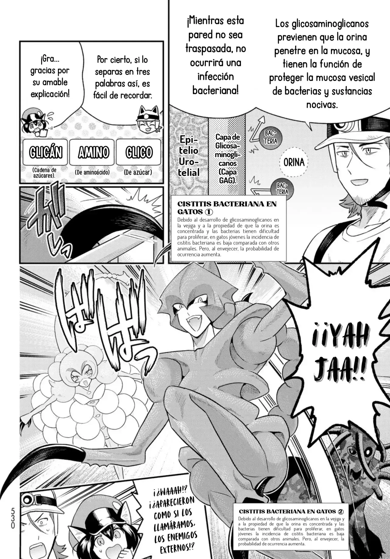 Capitulo 6 page 17