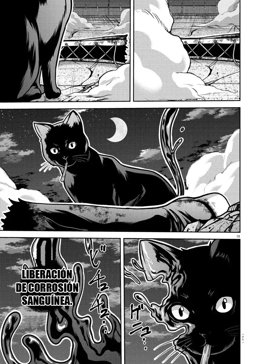 Capitulo 184 page 14