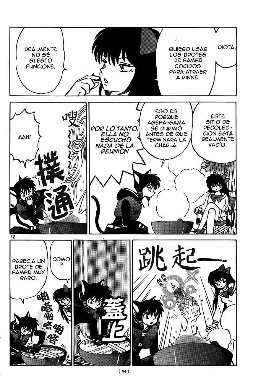Capitulo 233 page 13
