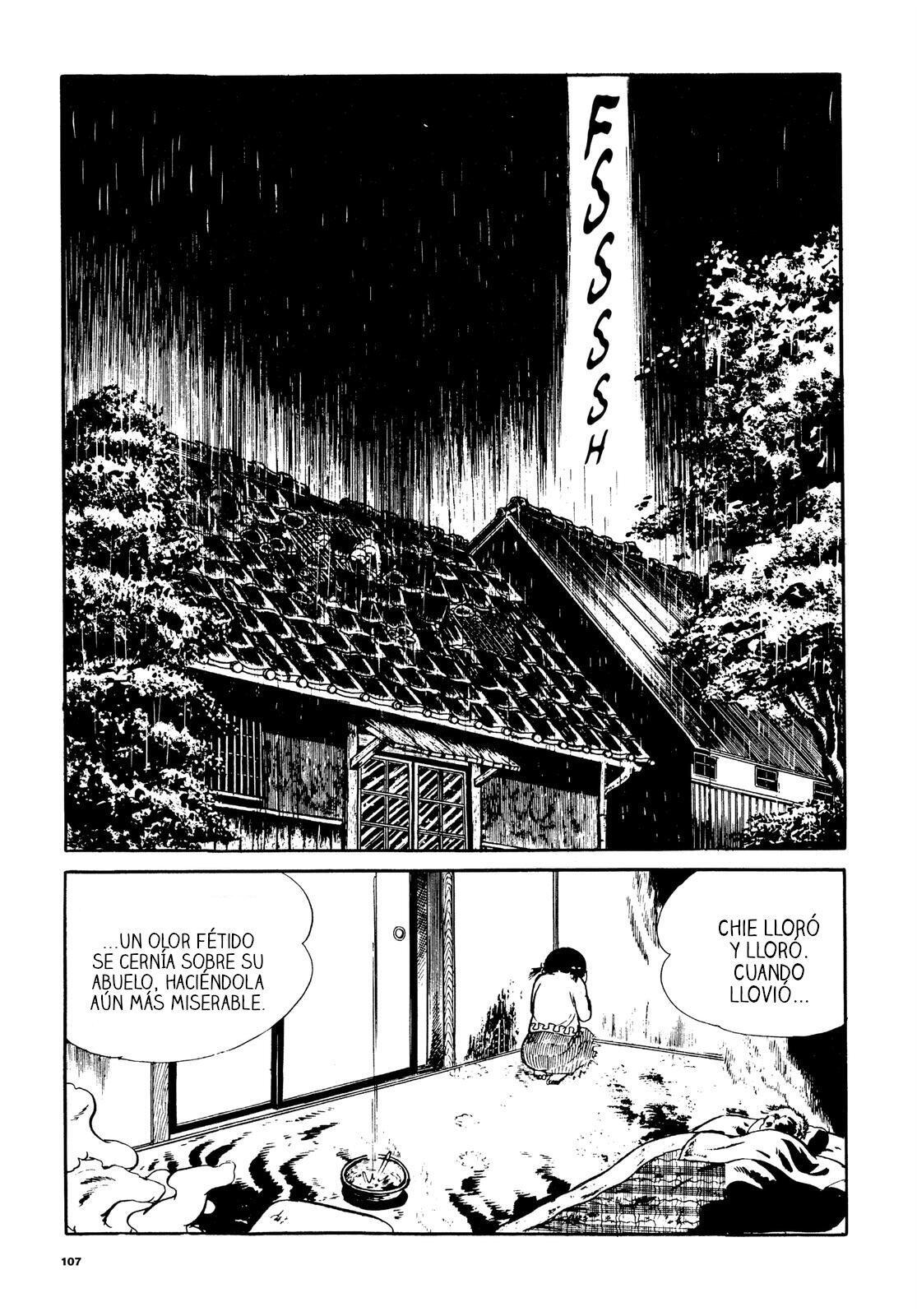 Capitulo 2.10 page 12