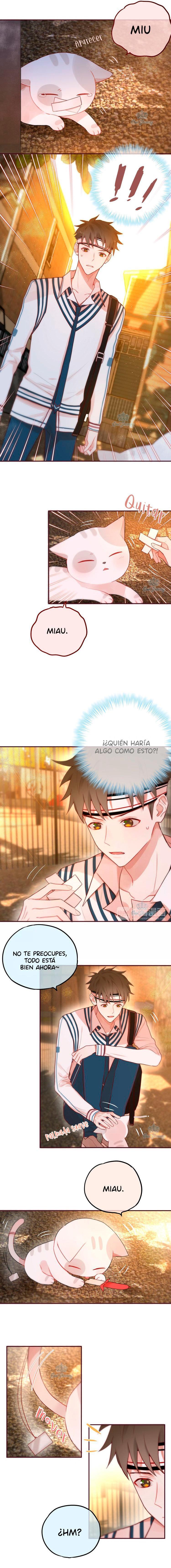 Capitulo 9 page 5
