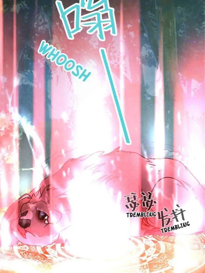 Capitulo 69 page 11