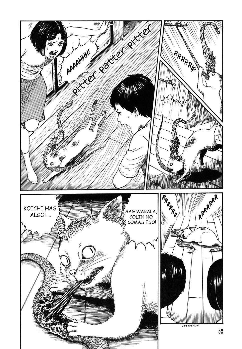 Capitulo 2 page 16
