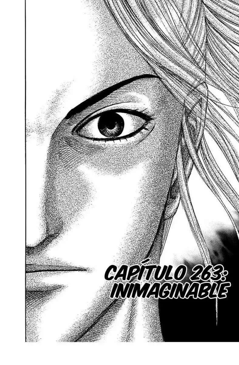 Capitulo 263 page 3