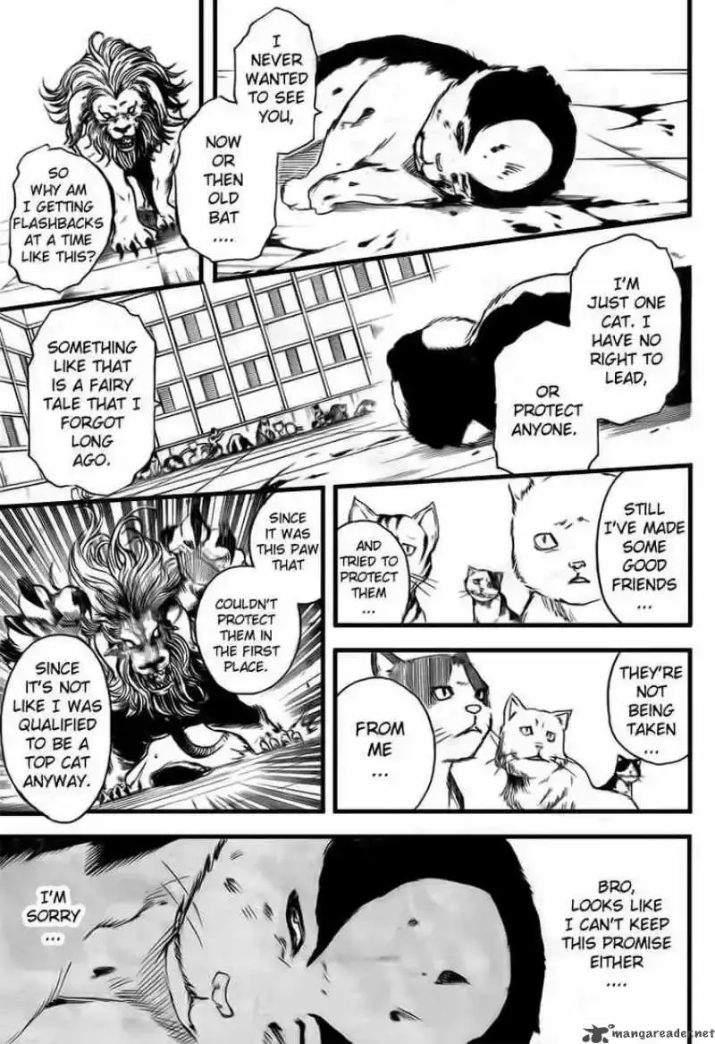 Capitulo 279 page 9