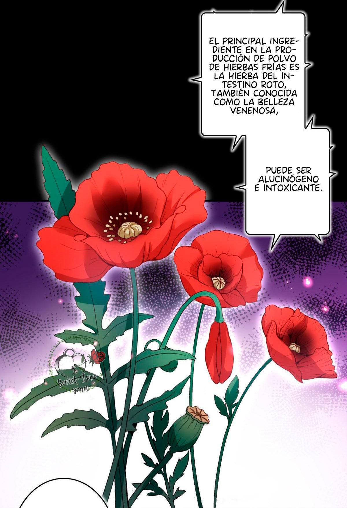 Capitulo 48 page 14