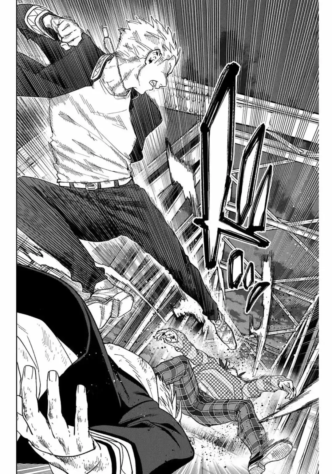 Capitulo 125 page 13
