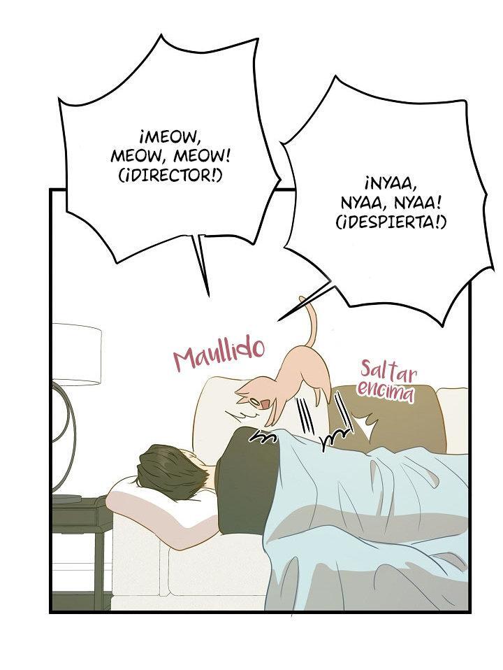 Capitulo 8 page 62