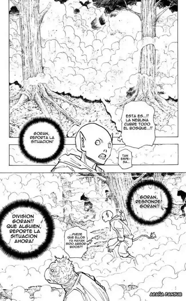 Capitulo 205 page 11