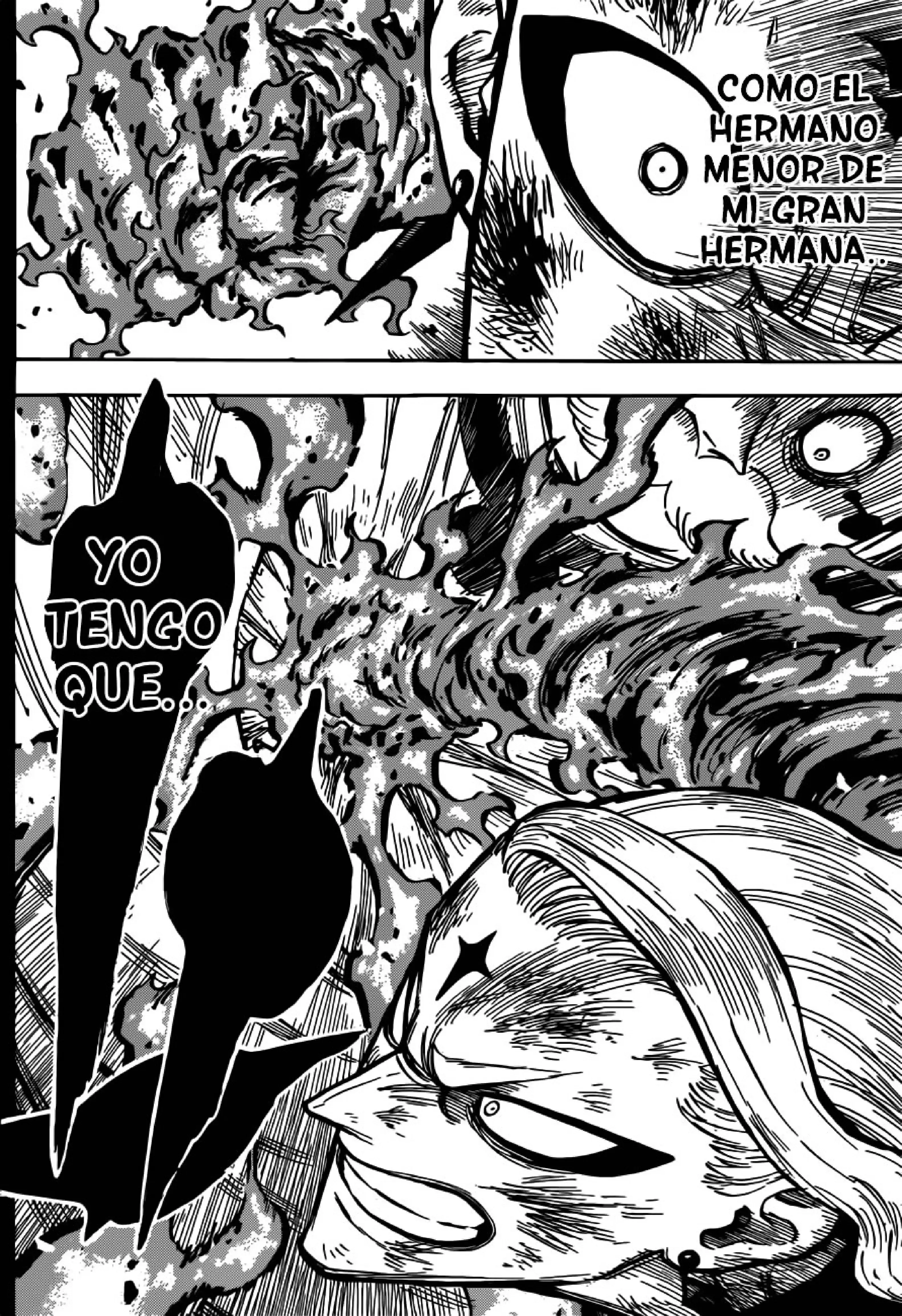 Capitulo 192 page 13