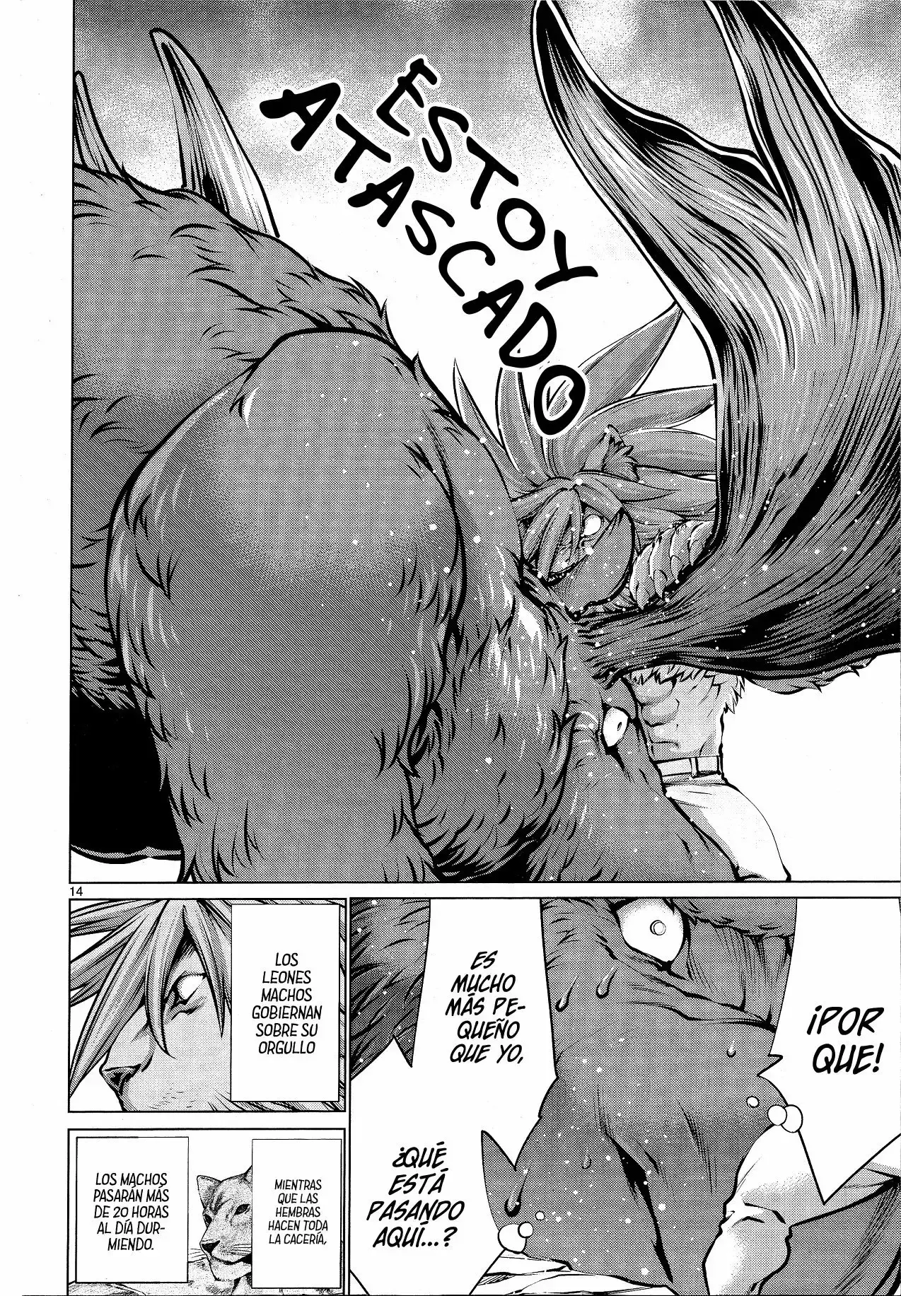 Capitulo 74 page 14