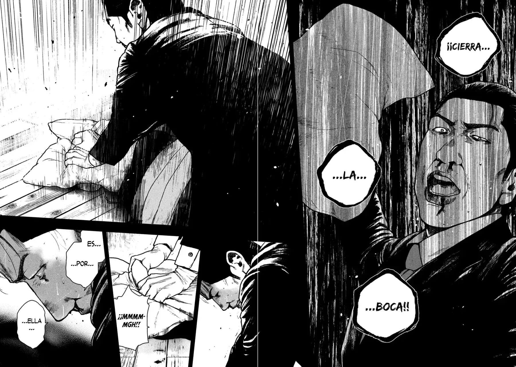 Capitulo 66 page 15