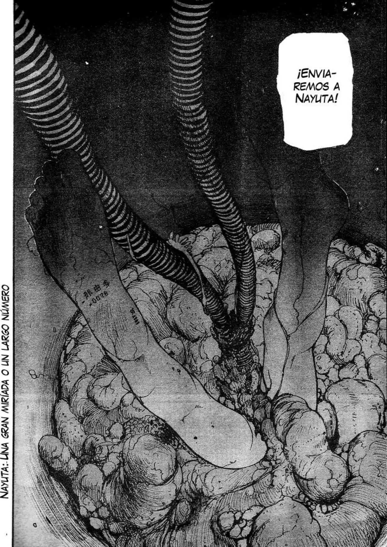Capitulo 2 page 14