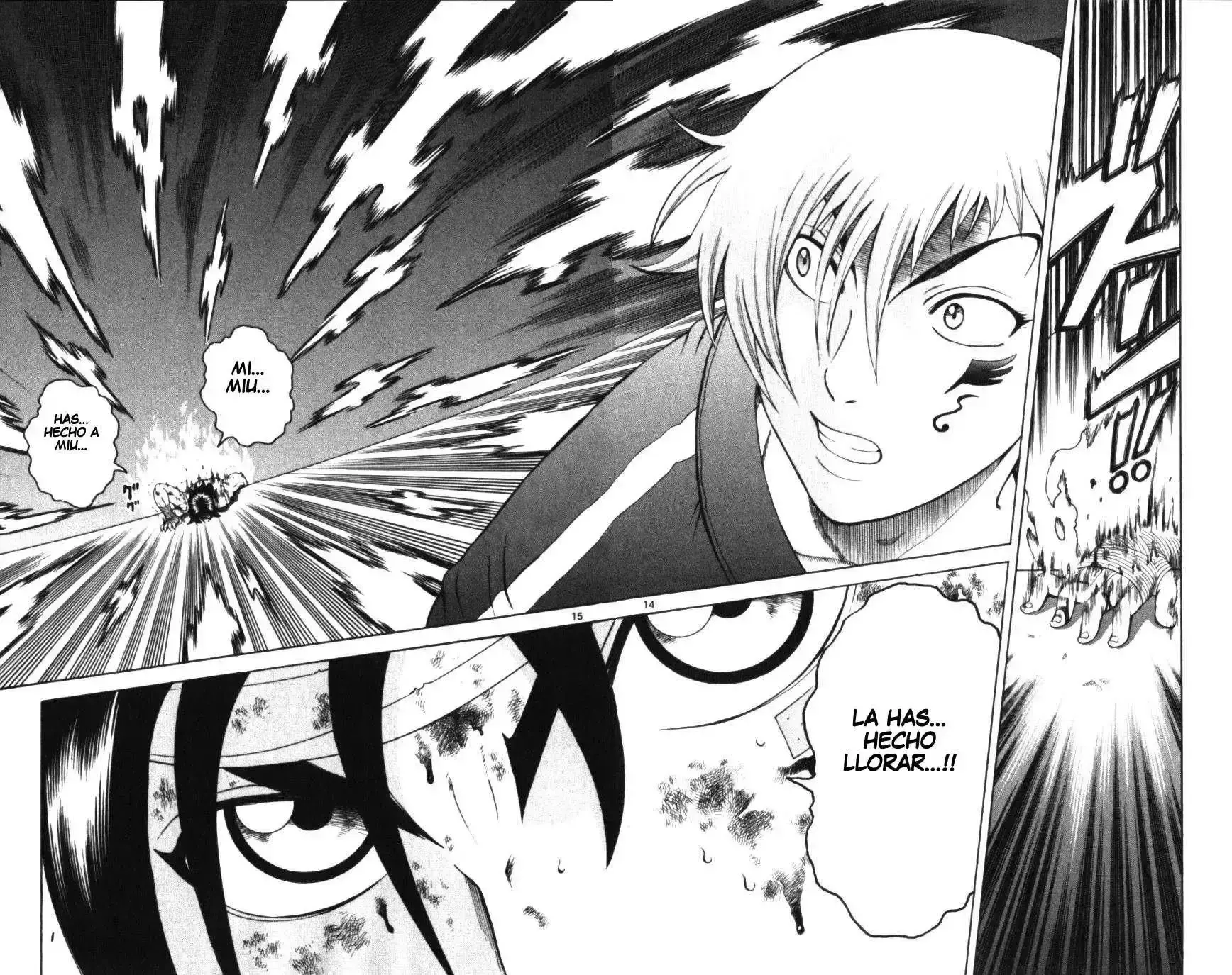 Capitulo 249 page 13