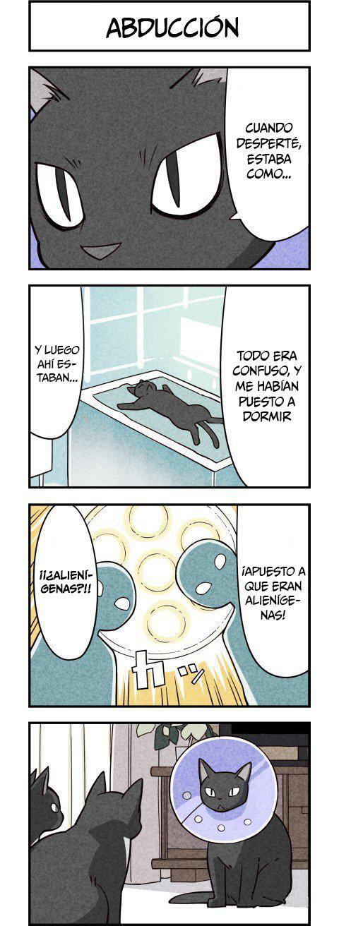 Capitulo 9 page 3