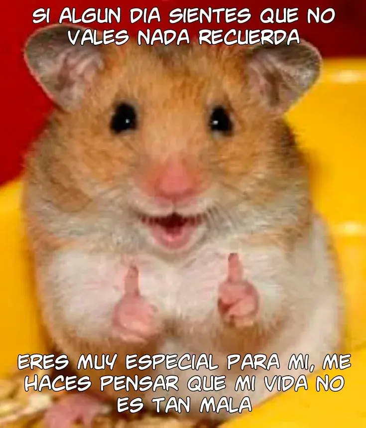 Capitulo 6.40 page 8
