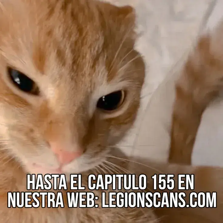 Capitulo 140 page 22