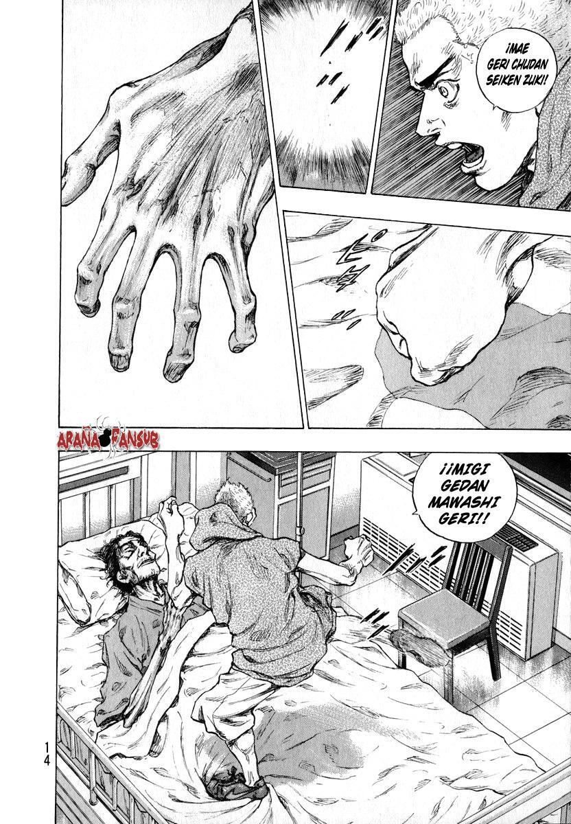 Capitulo 209 page 14
