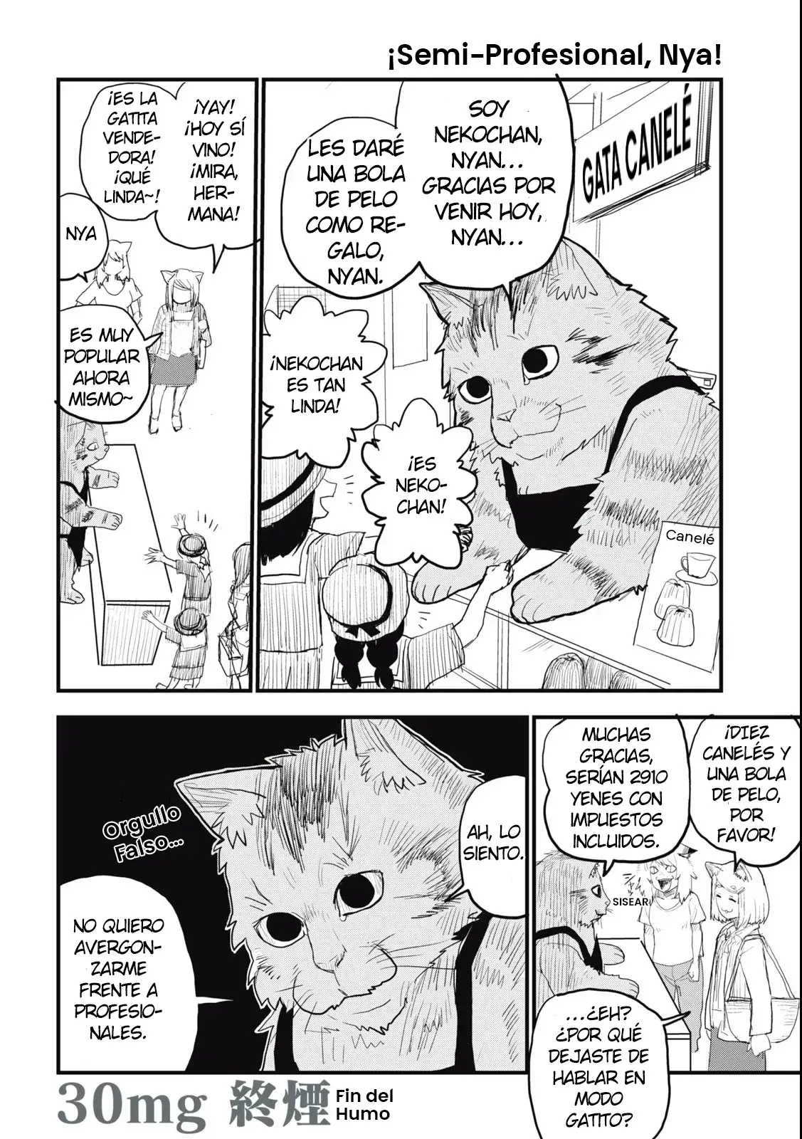Capitulo 30 page 4