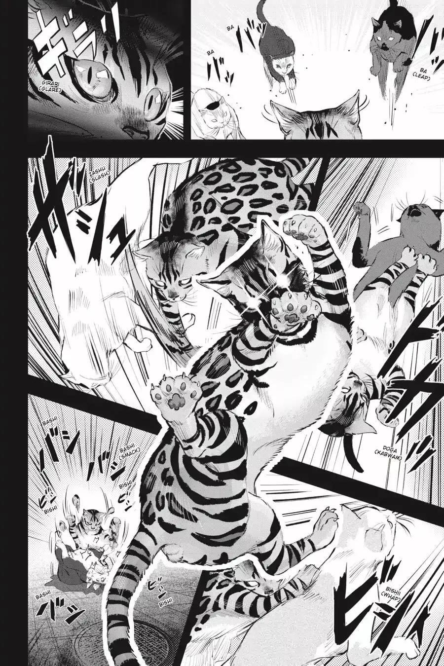Capitulo 11 page 11