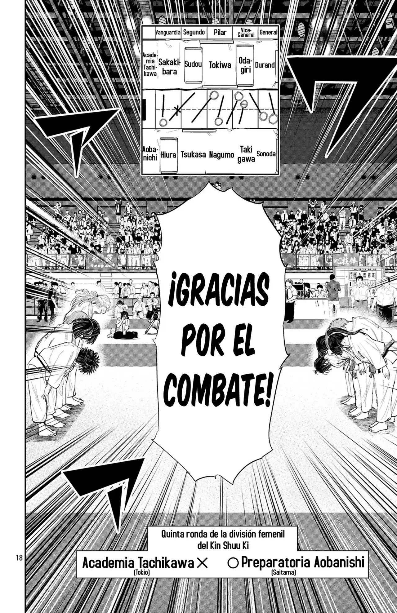 Capitulo 260 page 11