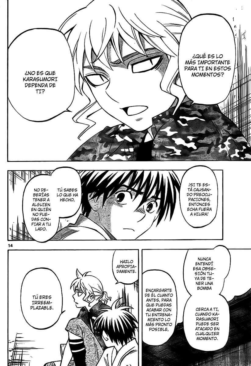 Capitulo 253 page 14