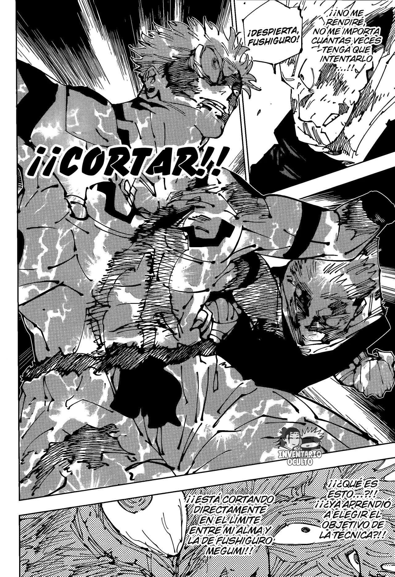 Capitulo 263 page 10