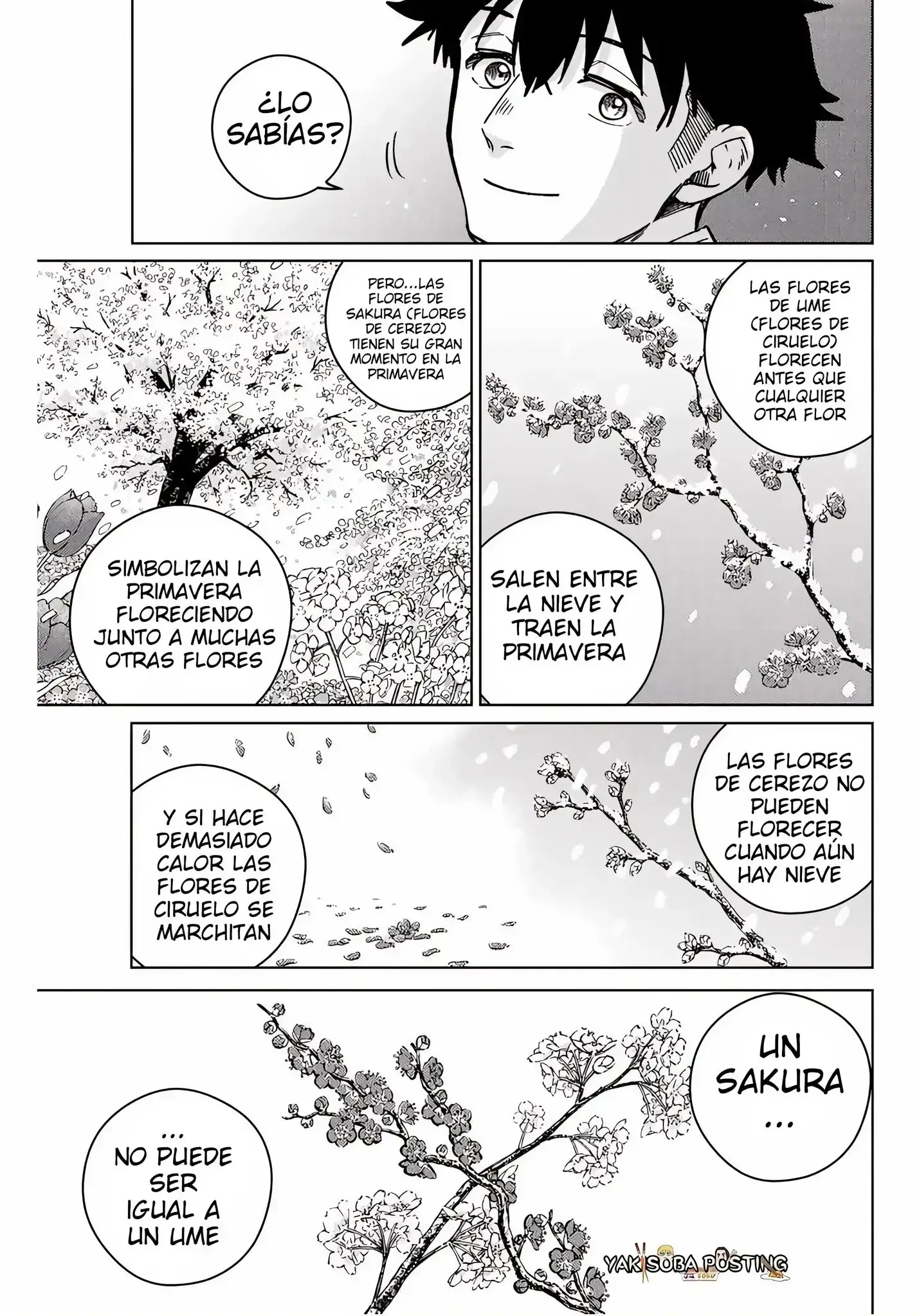 Capitulo 181 page 14
