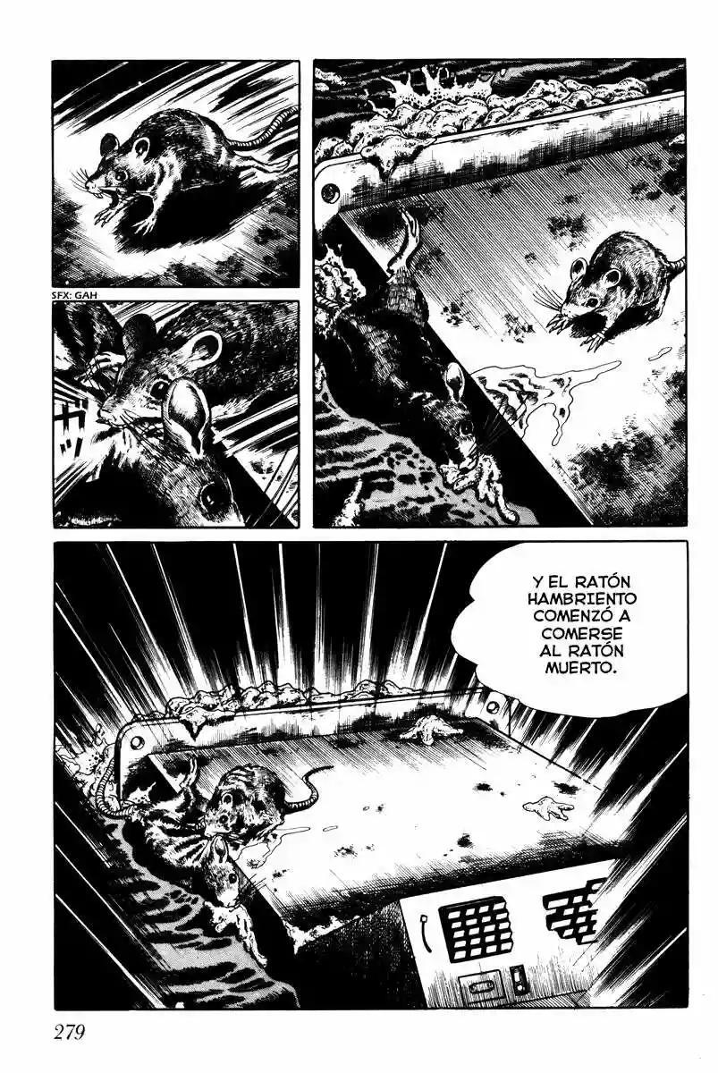 Capitulo 44 page 14