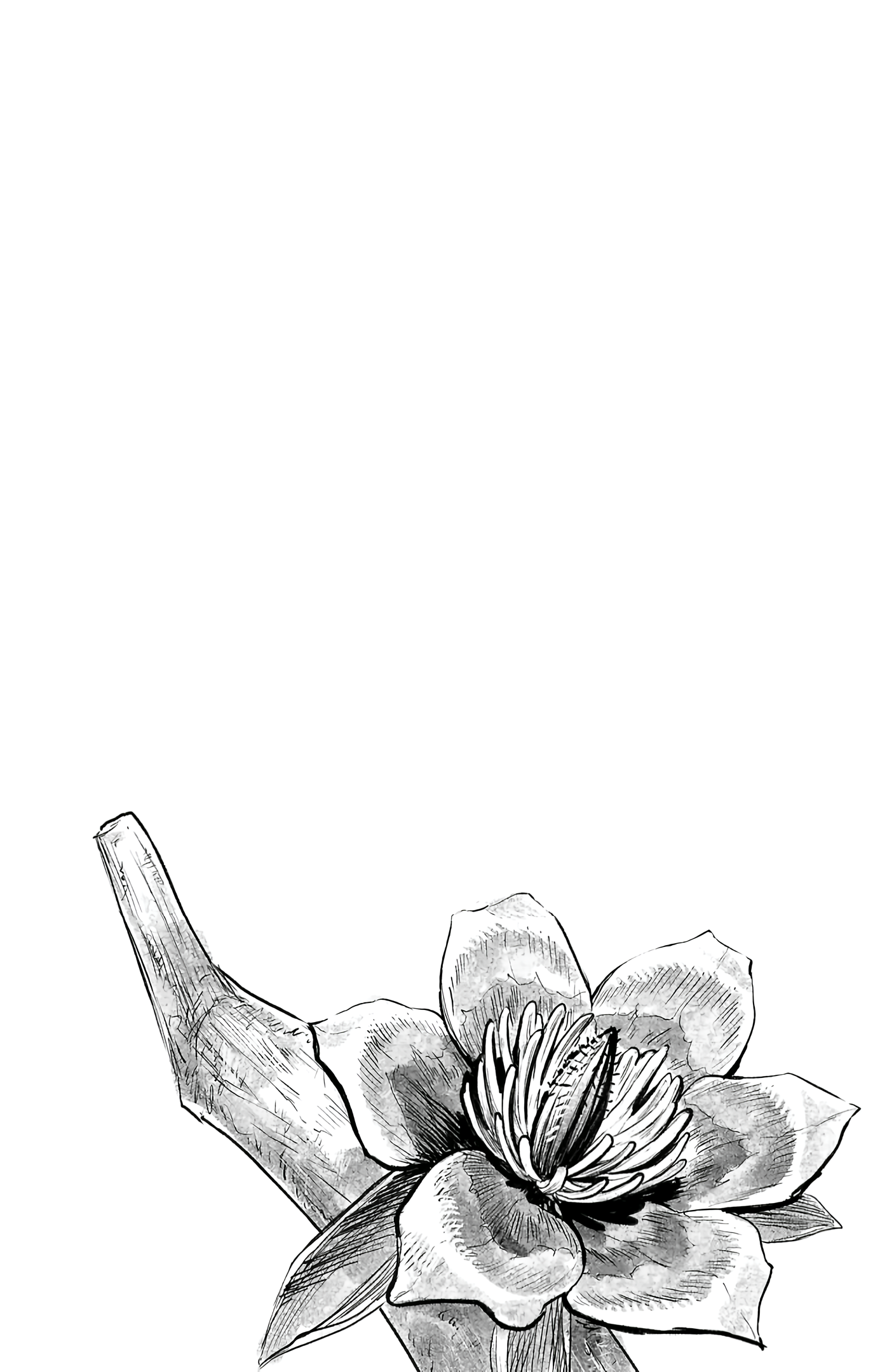 Capitulo 44.1 page 7