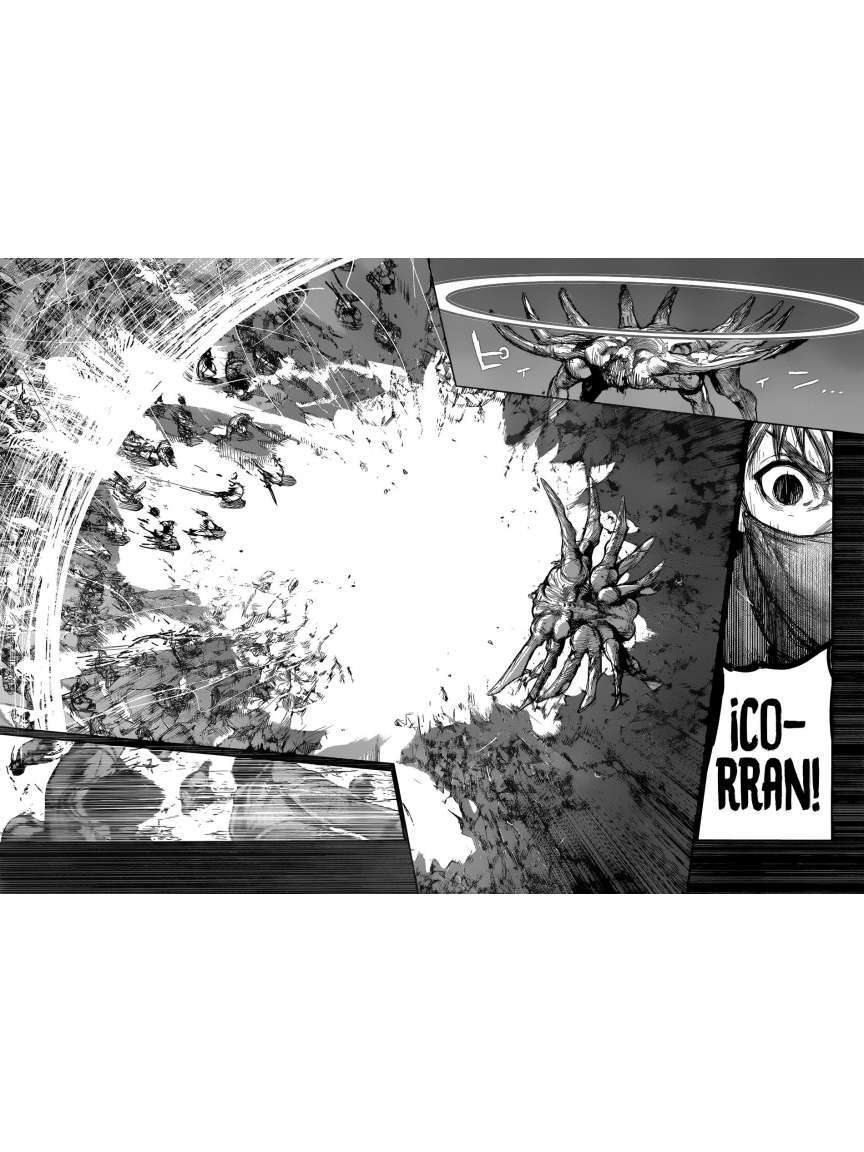 Capitulo 167 page 13