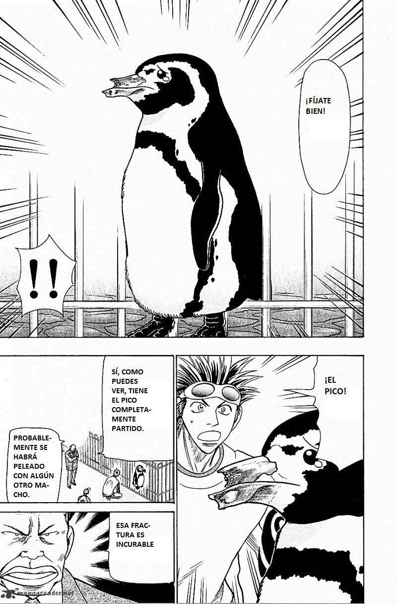 Capitulo 56 page 13