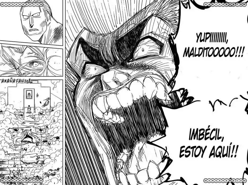 Capitulo 272 page 14