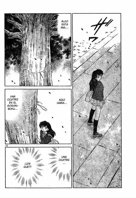 Capitulo 558 page 12