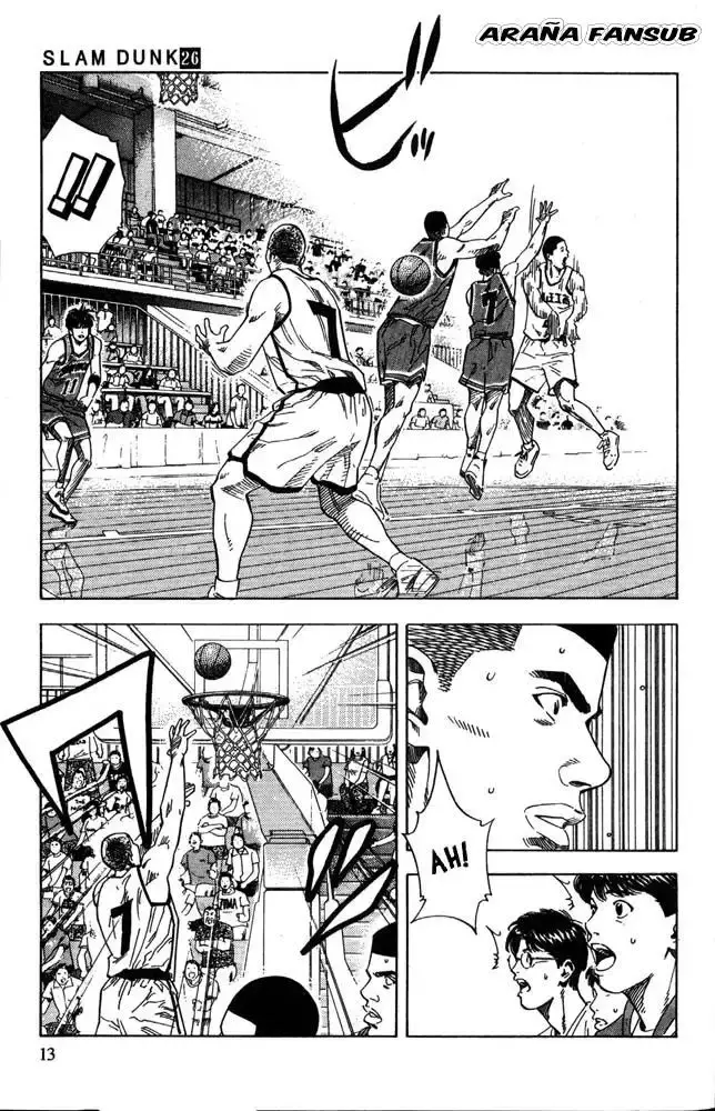 Capitulo 225 page 11